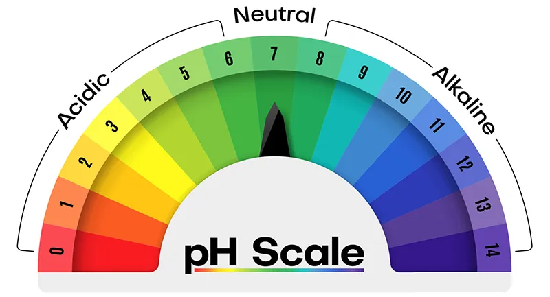 ph value test
